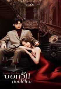 Confess Your Love (2023) บอกรักก่อนได้ไหม
