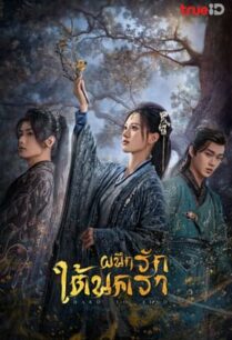 Hard to Find (2024) ผนึกรักใต้นครา