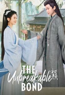 The Unbreakable Bond (2024) ลิขิตรักแรกพบ