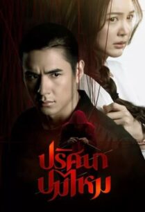 ปริศนาปมไหม (2025) The Yarns