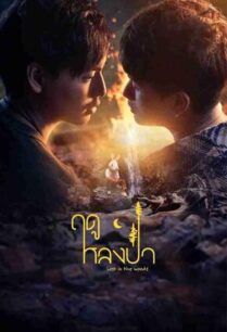 ฤดูหลงป่า (2025) Lost in the Woods